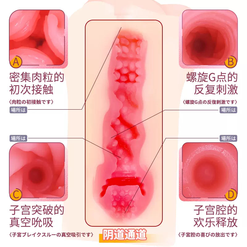 EXE 名器降臨 小宵虎南 慢玩雙穴名器 購買