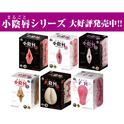 A-ONE Clitoris 陰核 (クリトリス) の飛機杯 飛機杯 購買