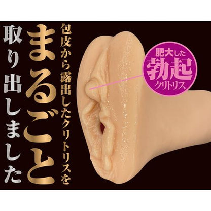 A-ONE Clitoris 陰核 (クリトリス) の飛機杯 飛機杯 購買