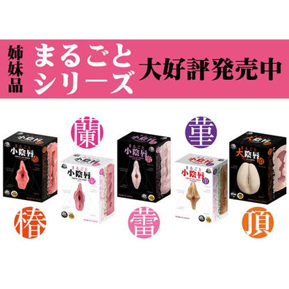 A-ONE Uterus 粉紅真實子宮の飛機杯 飛機杯 購買