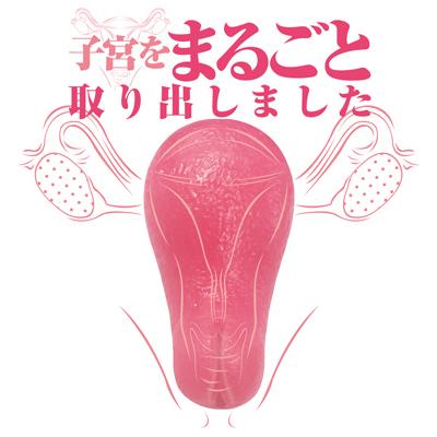 A-ONE Uterus 粉紅真實子宮の飛機杯 飛機杯 購買