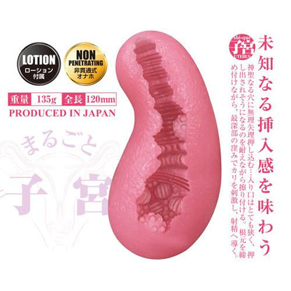 A-ONE Uterus 粉紅真實子宮の飛機杯 飛機杯 購買