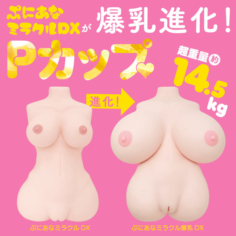 EXE Puni Ana 奇蹟爆乳胴體 DX 乳交雙穴自慰器 14.5 kg 雙穴名器 購買