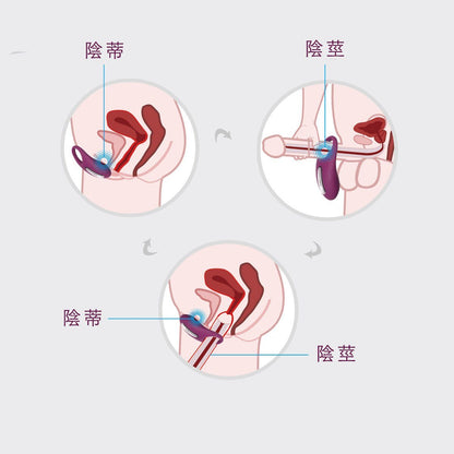 SVAKOM Winni 無線遙控陰莖持久震動環 震動陰莖環 購買