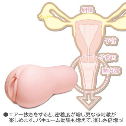 TOY'SHEART 17 EVO Soft 進化 柔軟膣內感飛機杯 動漫飛機杯 購買