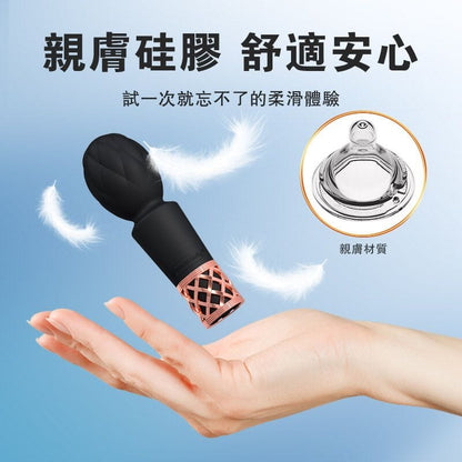 PILLOW TALK Secrets Pleasure Wand 迷你震動棒 購買