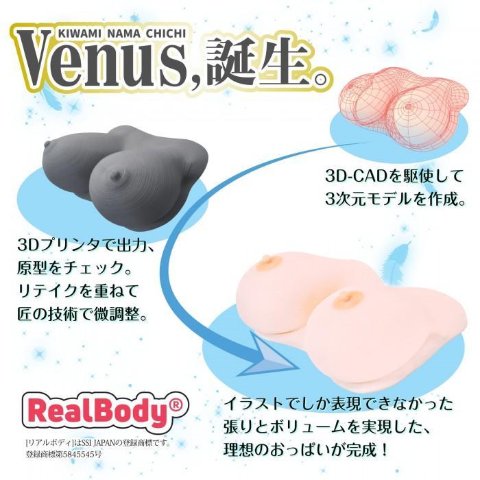SSI JAPAN Real Body 極生乳 Venus F Cup 乳交名器 2.6 kg 乳交名器 購買
